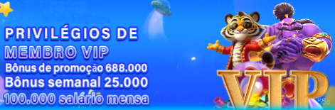 Programa VIP 55s
